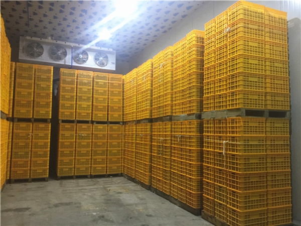 成都?xì)庹{(diào)庫(kù)租賃