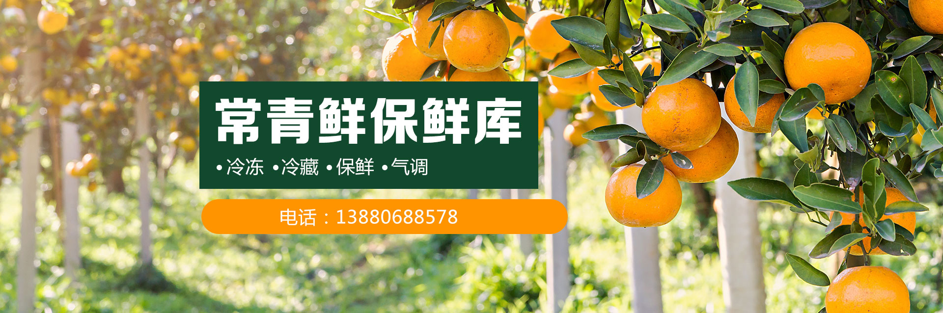 成都冷庫(kù)租賃