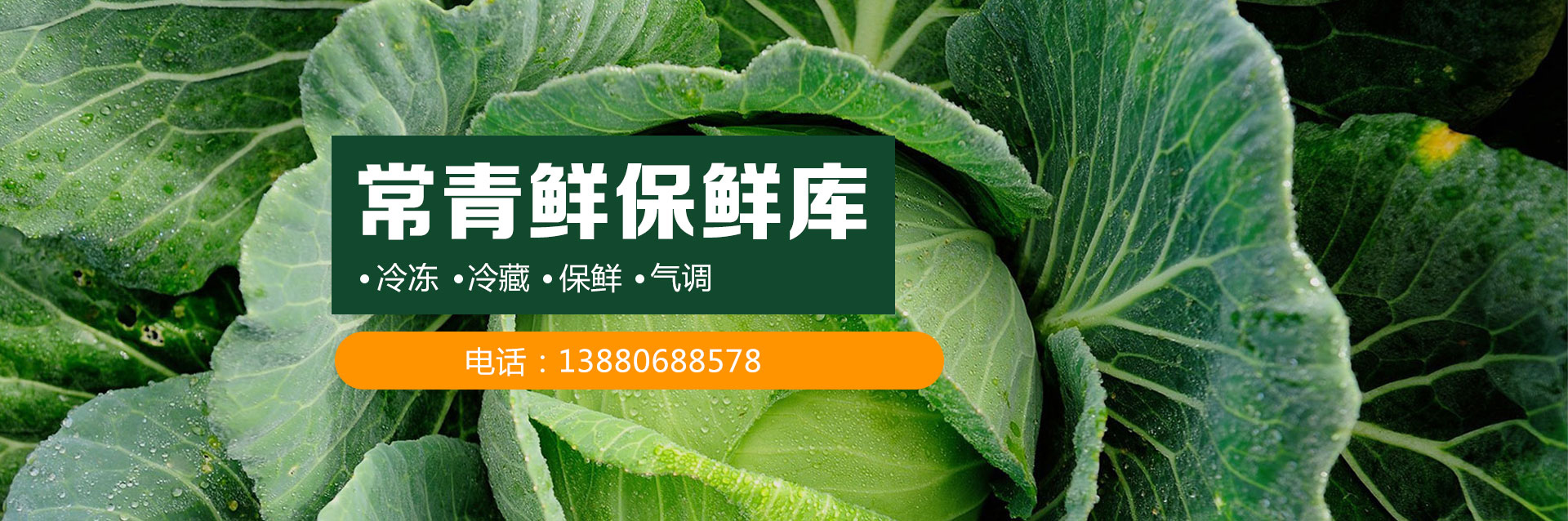 成都凍庫(kù)租賃