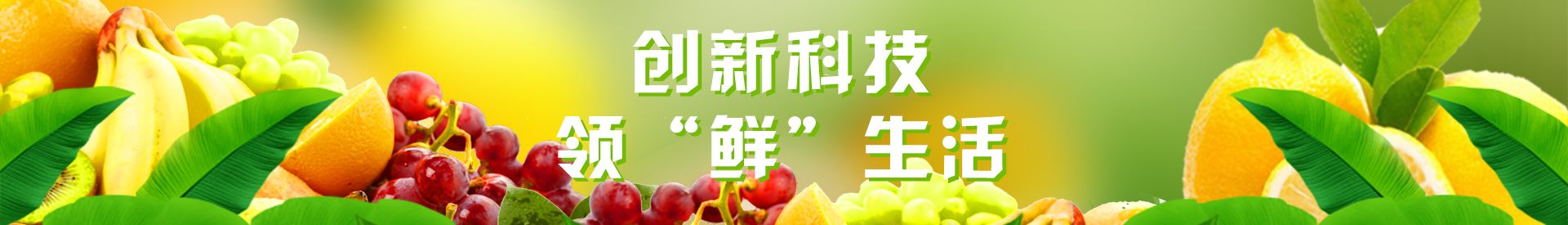 成都凍庫(kù)租賃